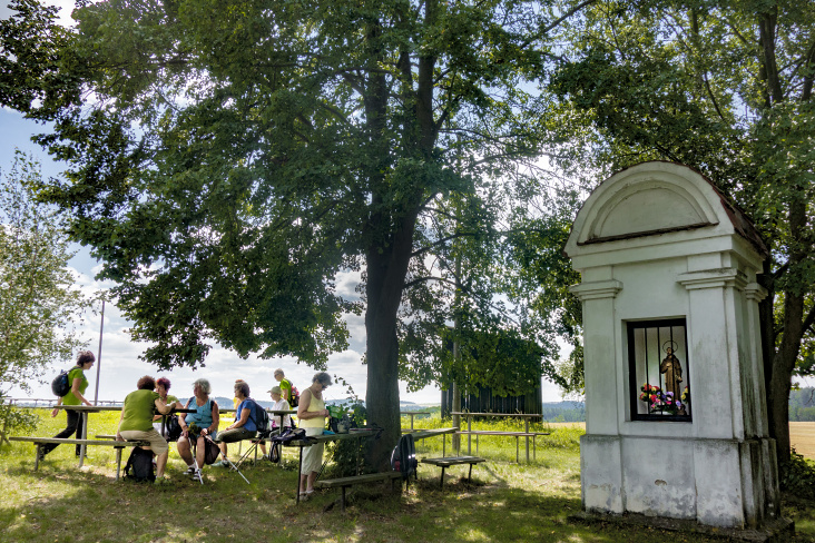 u_vyklenkove_kaple_sv._Frantiska