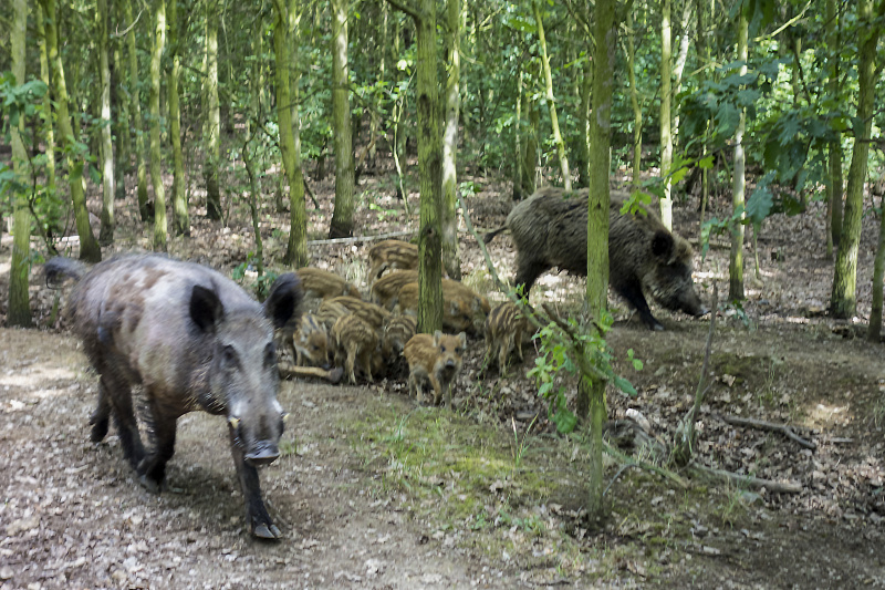 to_je_nase_teritorium