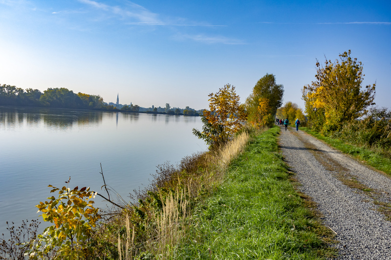 Spanila_vez_vykukuje_a_9-10-2018